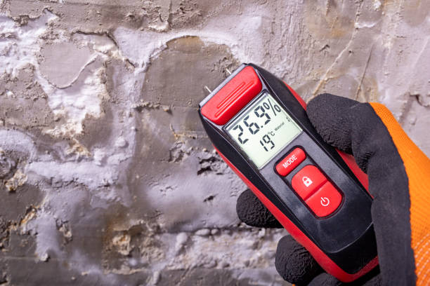 Best Bathroom Mold Remediation in Bloomfield, NM